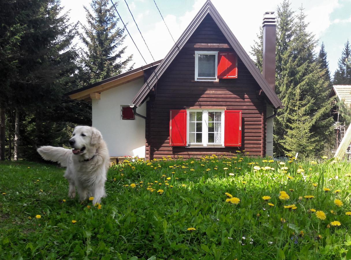 Villa Snowhite Jahorina Exterior foto